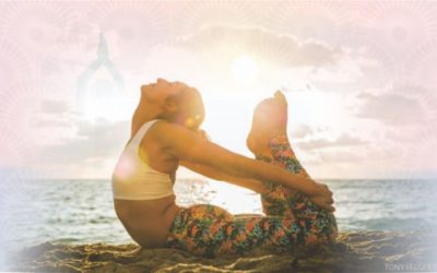 Did you know facts about Yoga!