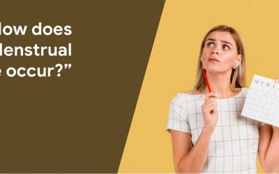 How Does Menstrual Cycle Occur?