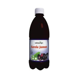 karela jamun juice