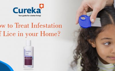 How to treat infestation of lice in your home? Advice from experts