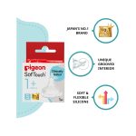 pigeon small 2