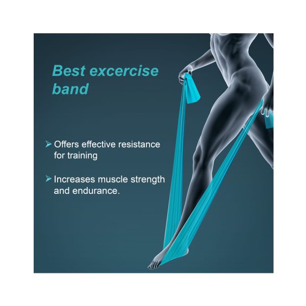 best exercise band