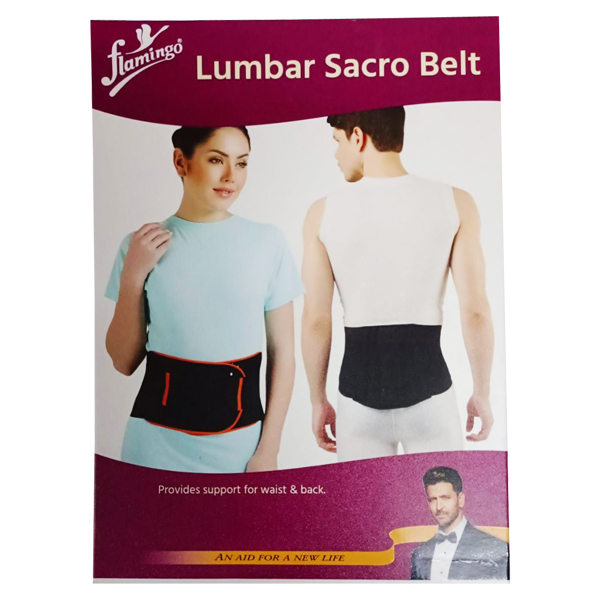 lower back stabilizer