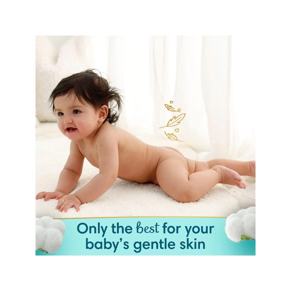 Pampers Premium Care Diaper Pants (Size L) Pack of 44