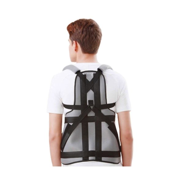 spine support belt