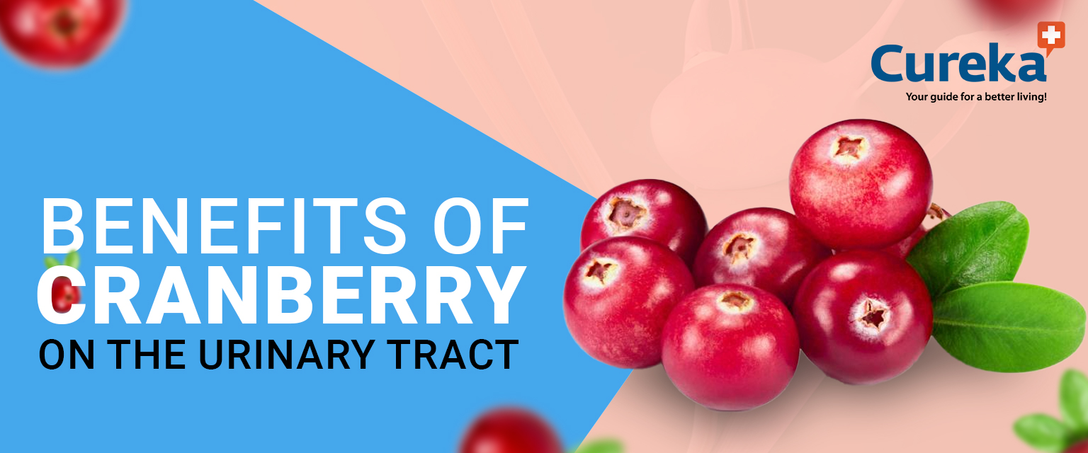 Benefits of Cranberry on the Urinary Tract
