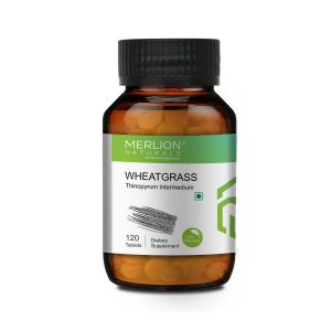 Merlion Naturals Wheat Grass Tablets (120 Tablets)