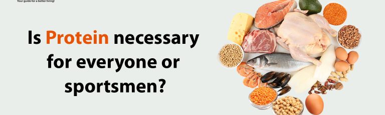 Is Protein Necessary for Everyone or for Sportsmen?