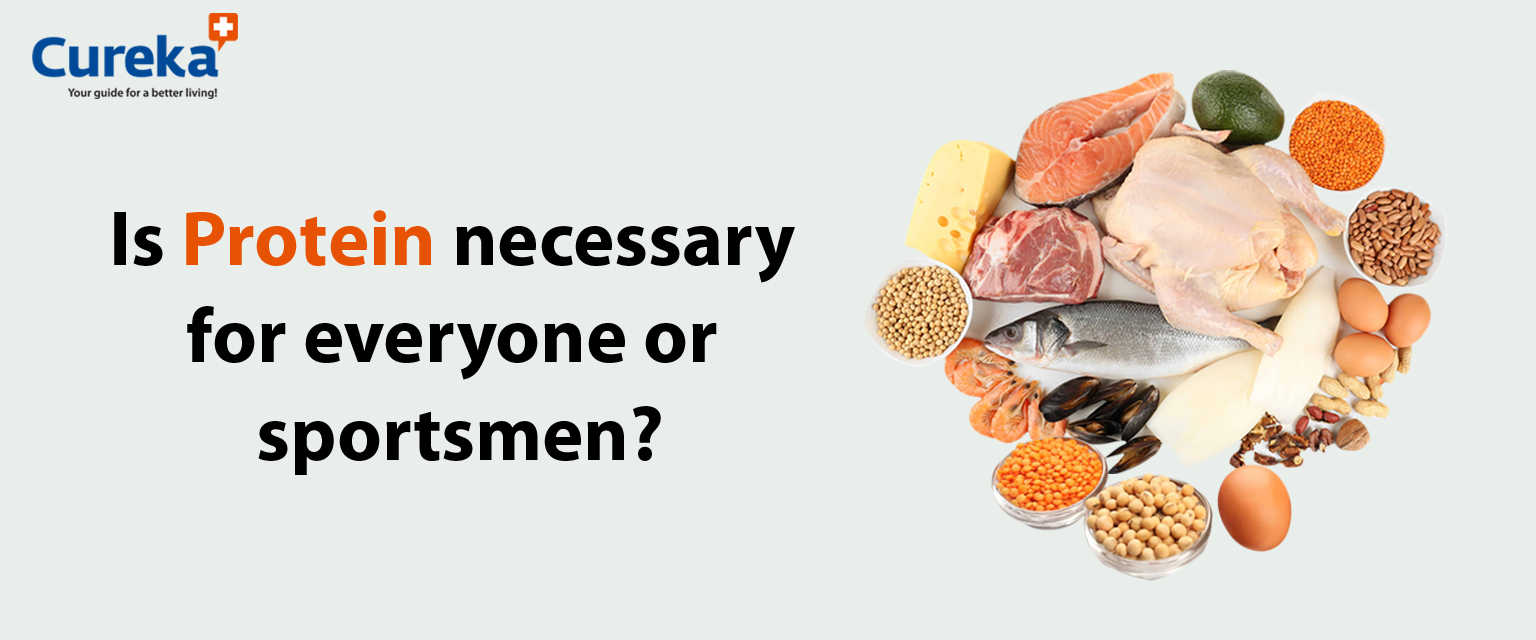 Is Protein Necessary for Everyone or for Sportsmen?