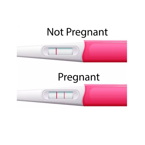 Pregnancy Test Kit