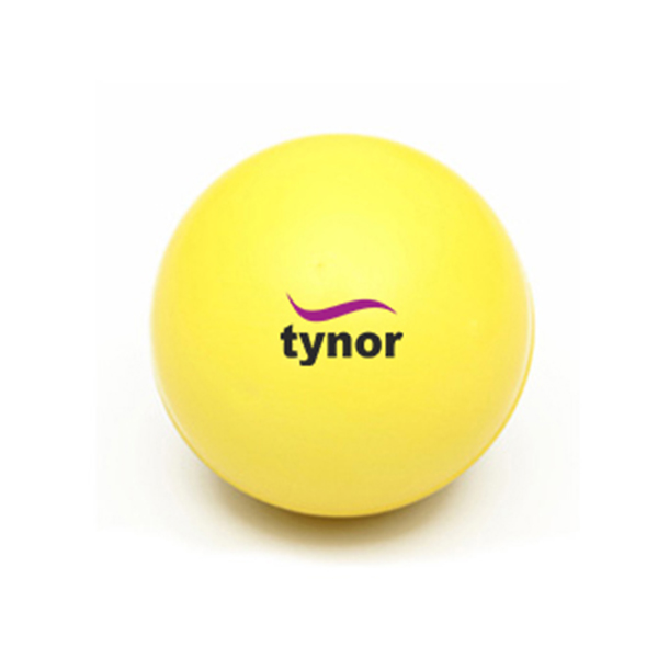 Tynor Exercising Ball PU H-05 (Ortho)
