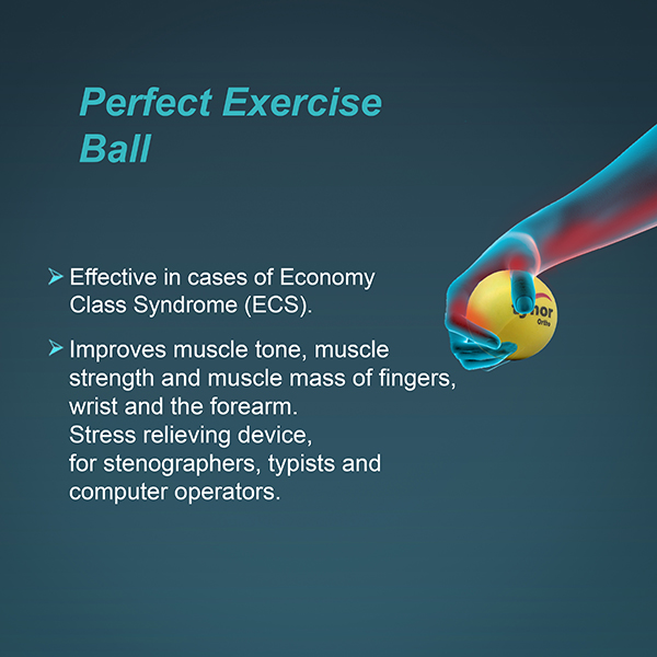 tynor_exercising_ball_ortho_h_05_1_0