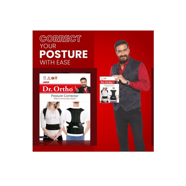 spine support belt