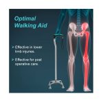 walking stick silver