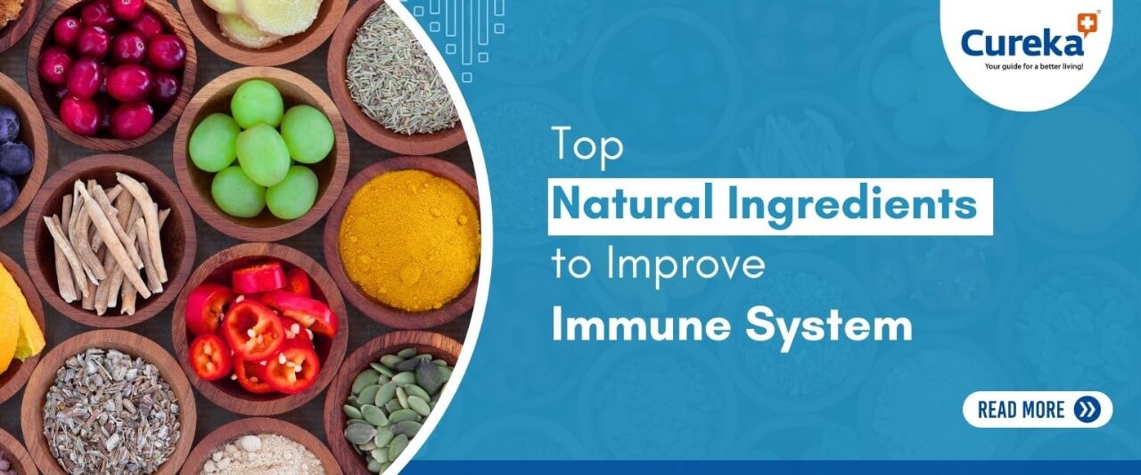 Top Natural Ingredients to Improve Your Immune System