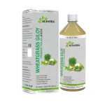 Alantra Wheatgrass Giloy Punch Tulsi Juice – 1000ml