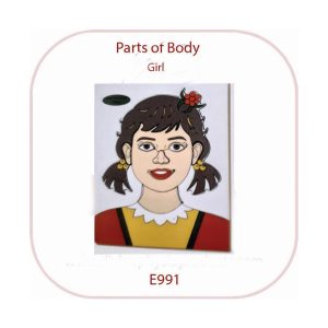 Divine Parts of the Body Peg Board Girl (E991)