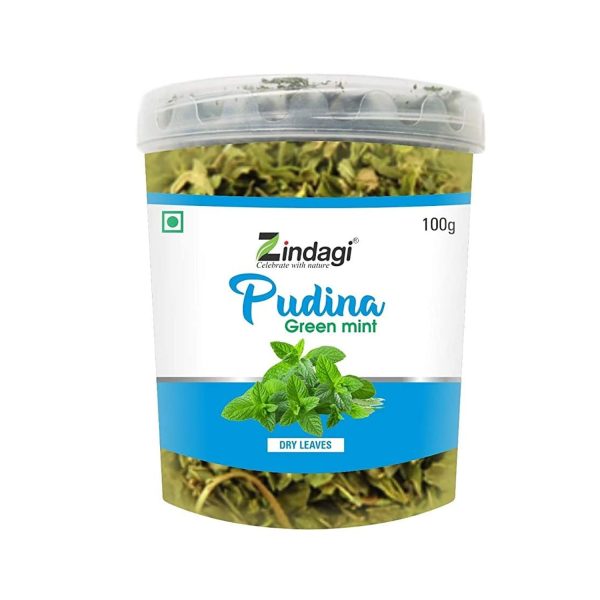 ZIindagi-Pudina-1.jpg