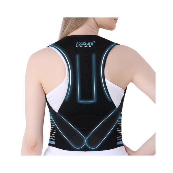 Accusure Posture Corrector Back Support Belt (P1)