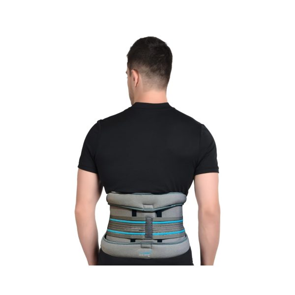 Accusure Eco Frame Back Support Belt (B13)