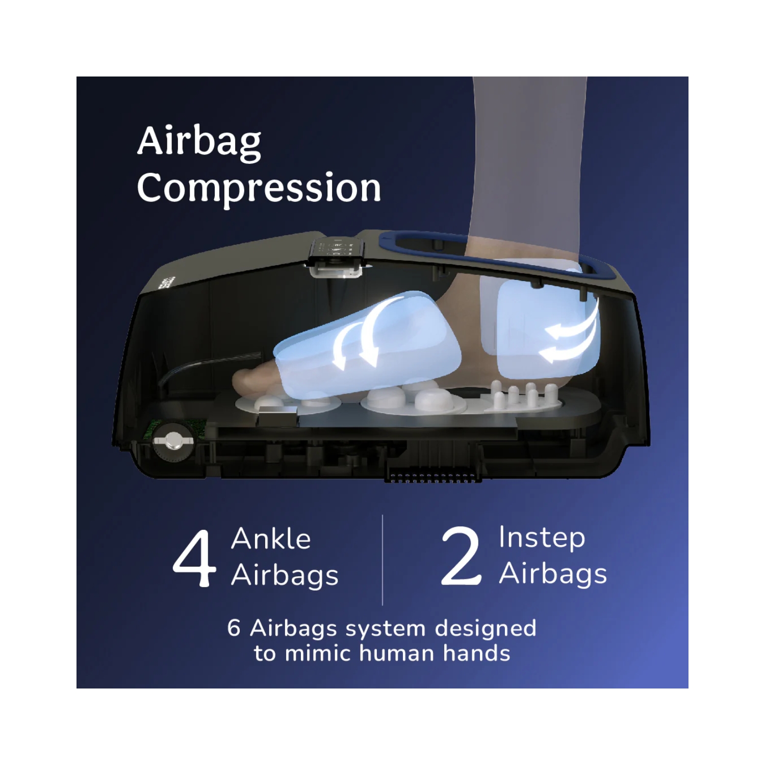 241 (1)