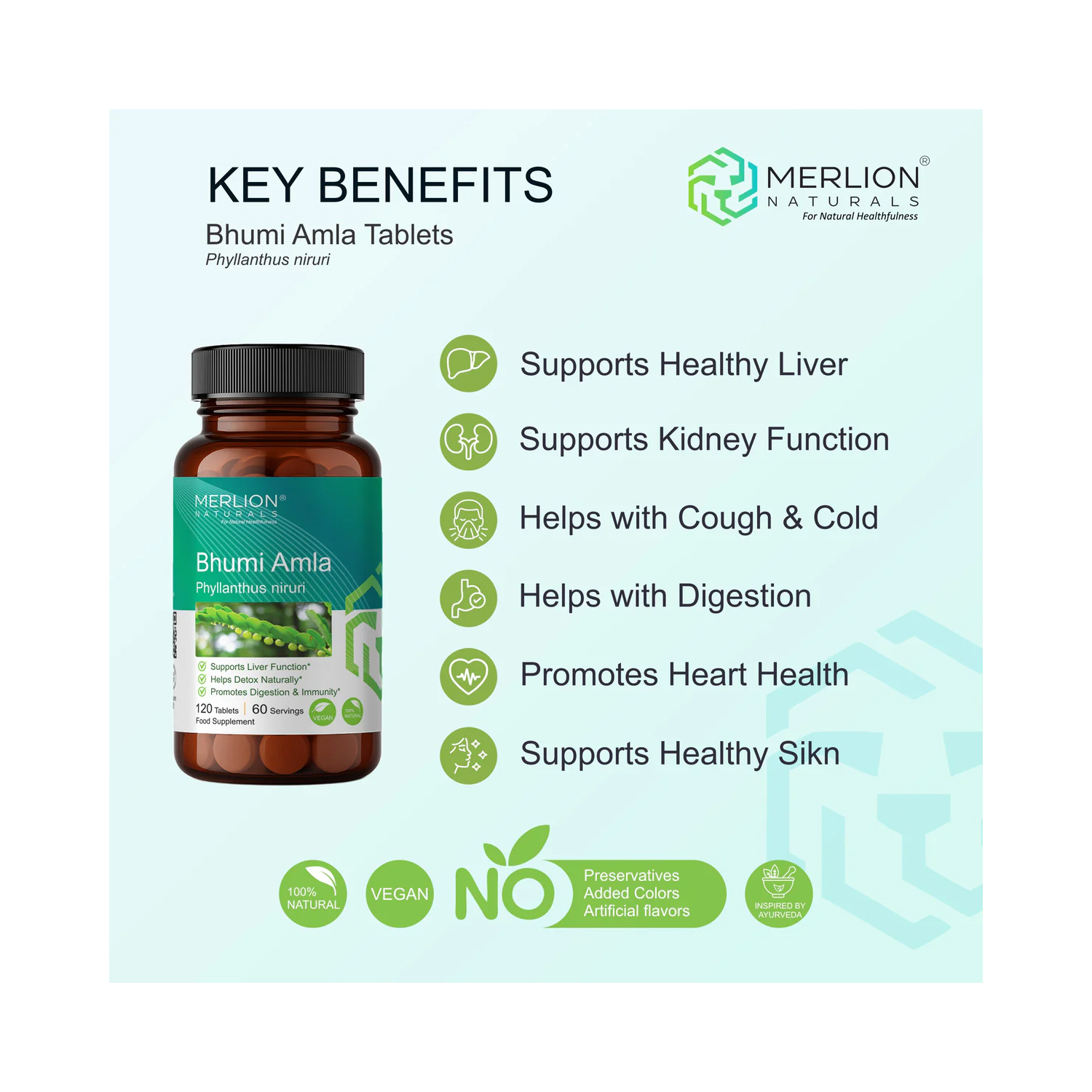 Bhumi Amla Extract Tablets (2).jpg